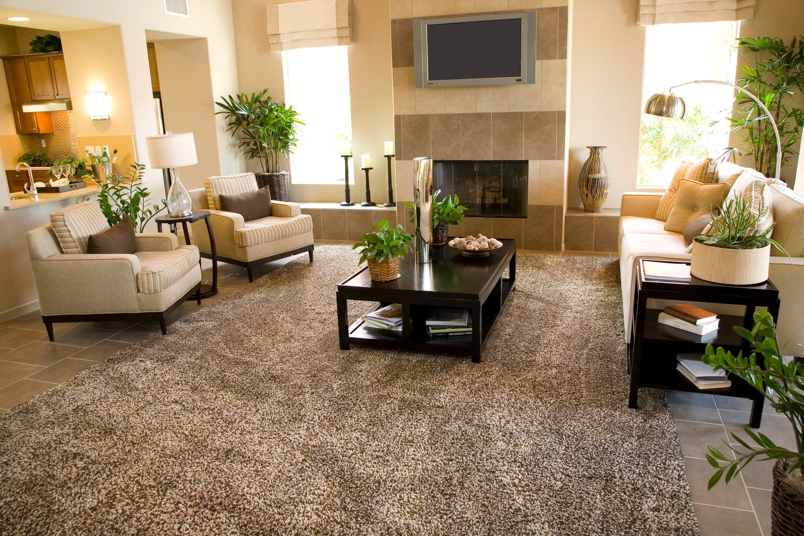 Brown Shaggy Living Room Carpet